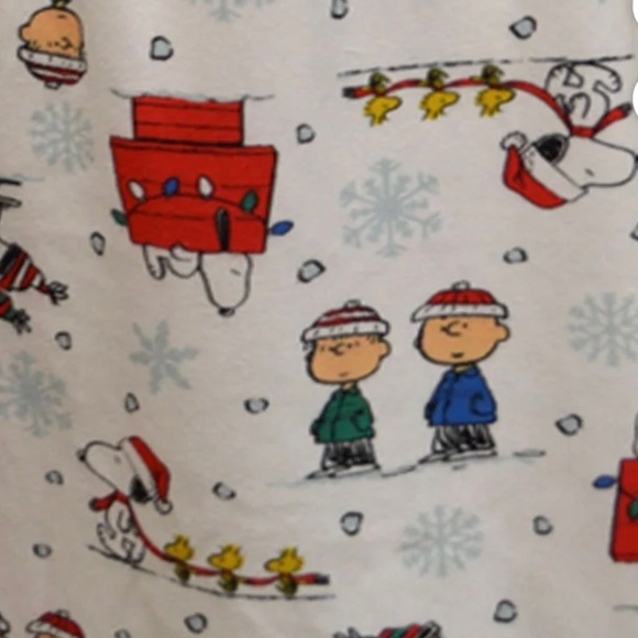 Peanuts Charlie Brown and the Gang Girls Flannel Nightgown Pajamas Size 8 NWT - Picture 5 of 5